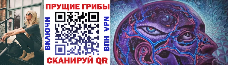Галлюциногенные грибы Magic Shrooms  Азов 