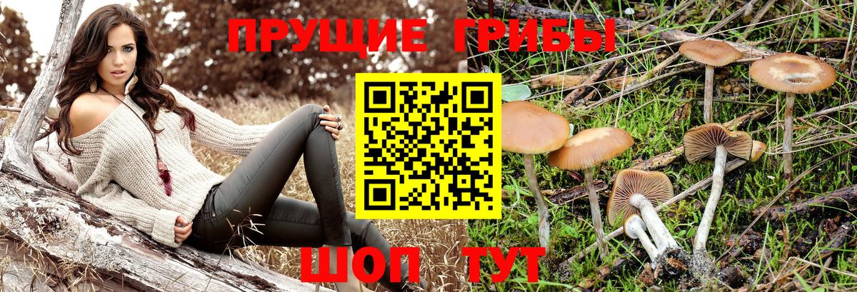 Псилоцибиновые грибы MAGIC MUSHROOMS  Вход с VPN  Псилоцибиновые грибы прущие грибы  Азов 