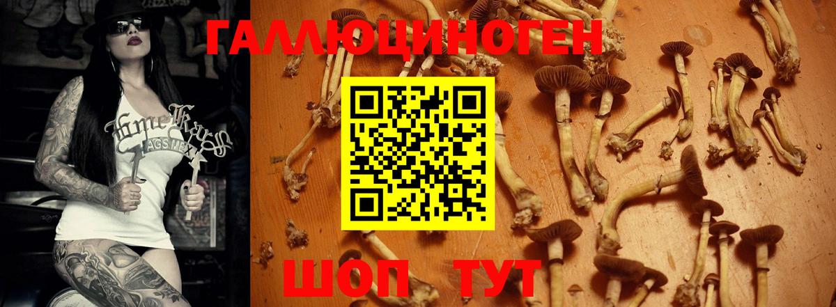 Галлюциногенные грибы MAGIC MUSHROOMS Азов